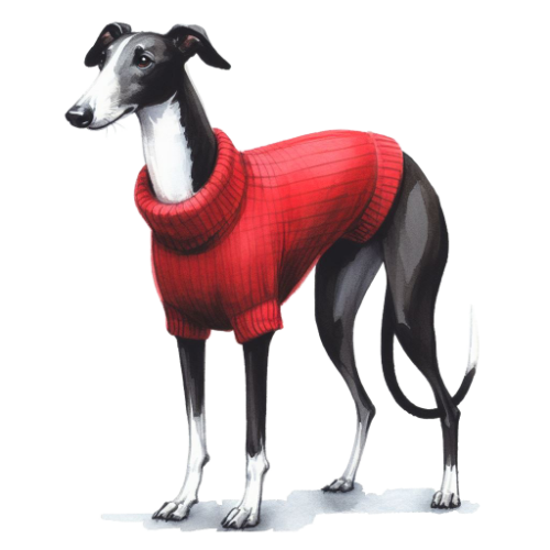 _24026d81-5900-4579-9c2f-c002ba3e626c